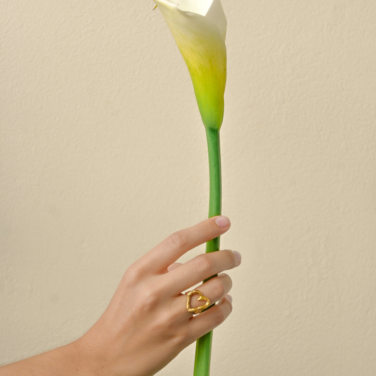 Anillo Infiniti Gold Heart